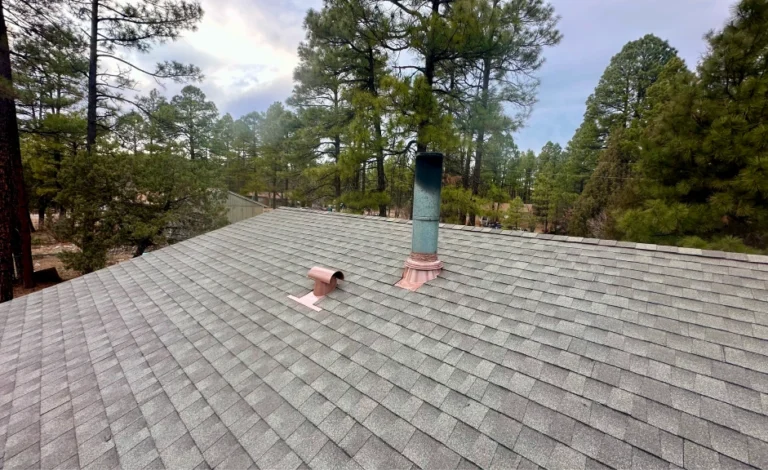 Shingle roof with chimney and vent flashing